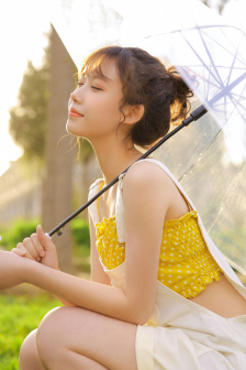 湘西剿匪记